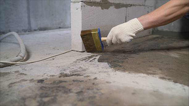 SJ Waterproofing Pros Waterproofing coverage map for Bradyville, TN and surrounding area
